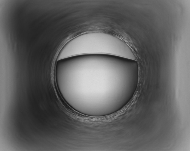 X0000099450003200805090737
