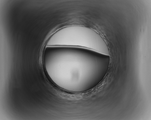 X0000099450004200805090737