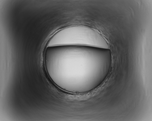 X0000099450005200805090736