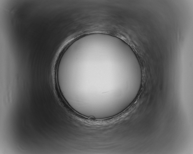 X0000099450006200805090736
