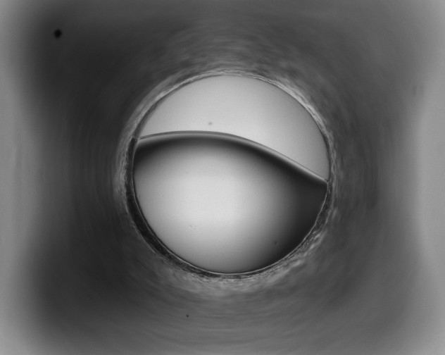 X0000099450007200805090736