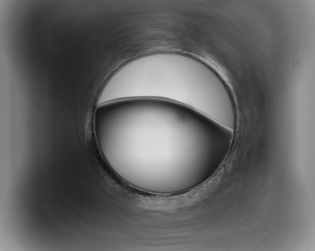 X0000099450009200805090736