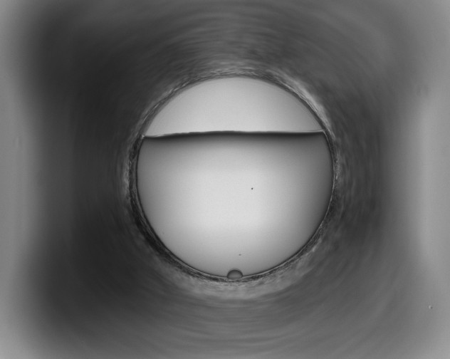 X0000099450010200805090736