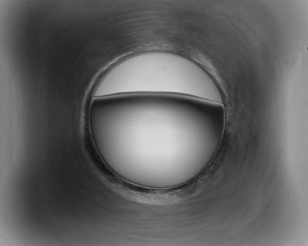 X0000099450012200805090736