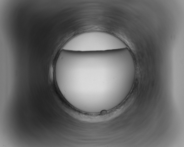 X0000099450014200805090736