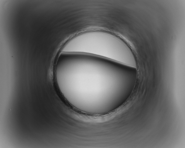 X0000099450015200805090736
