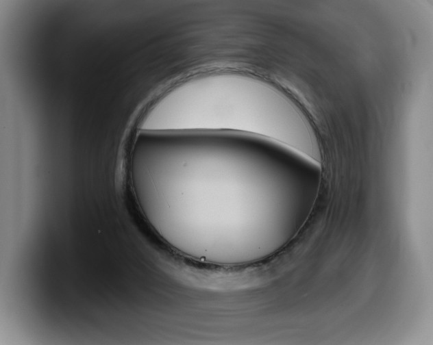 X0000099450016200805090736