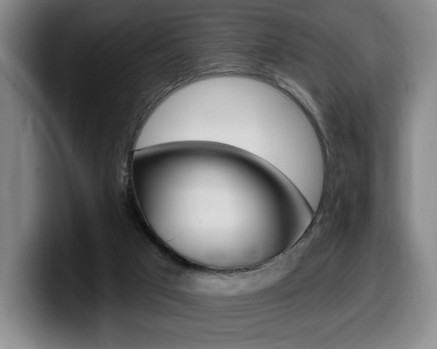 X0000099450017200805090736