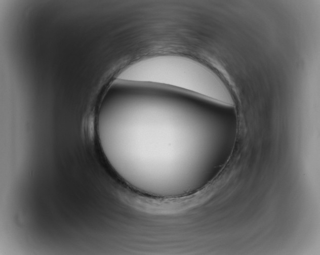X0000099450019200805090736