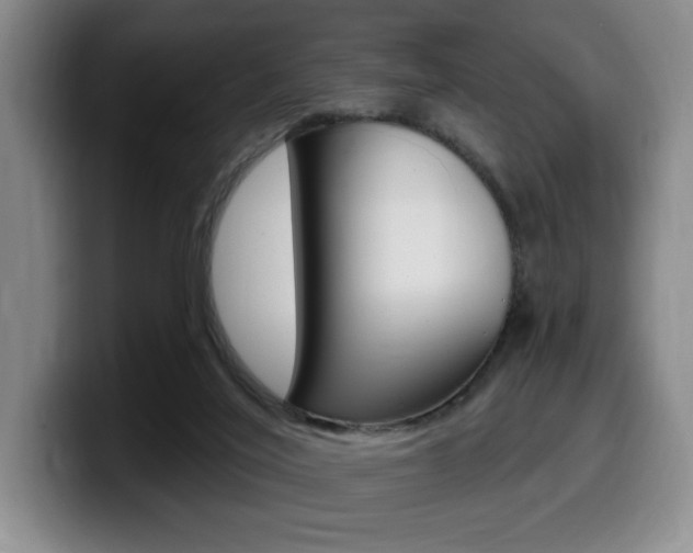 X0000099450020200805090736