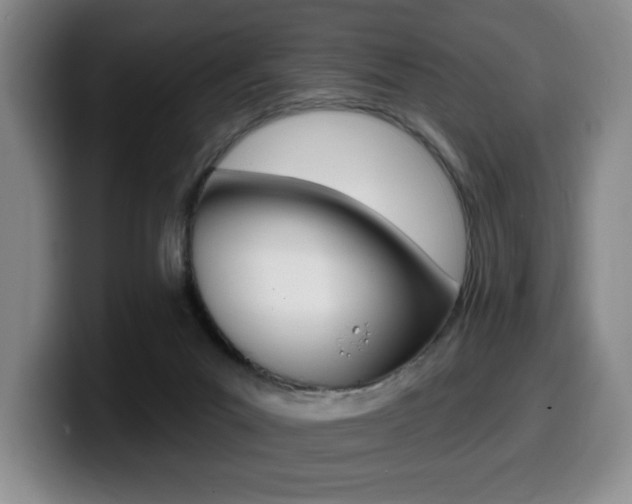 X0000099450023200805090736