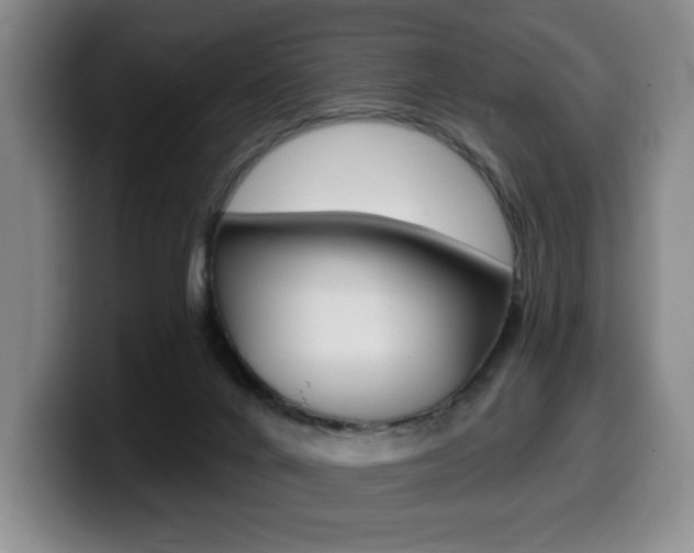X0000099450024200805090736