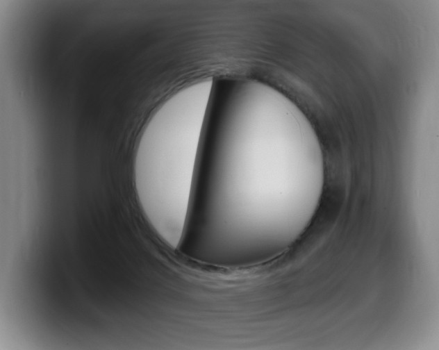 X0000099450028200805090736