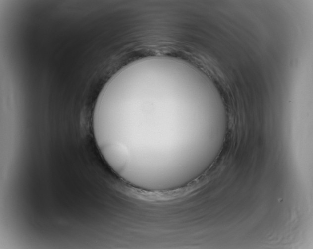 X0000099450030200805090736