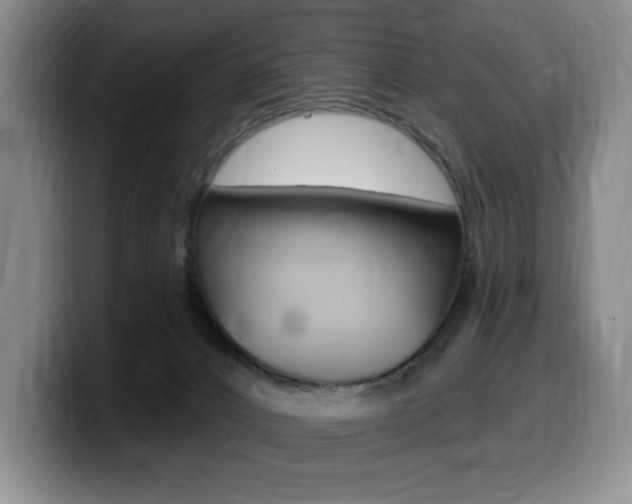 X0000099450032200805090736