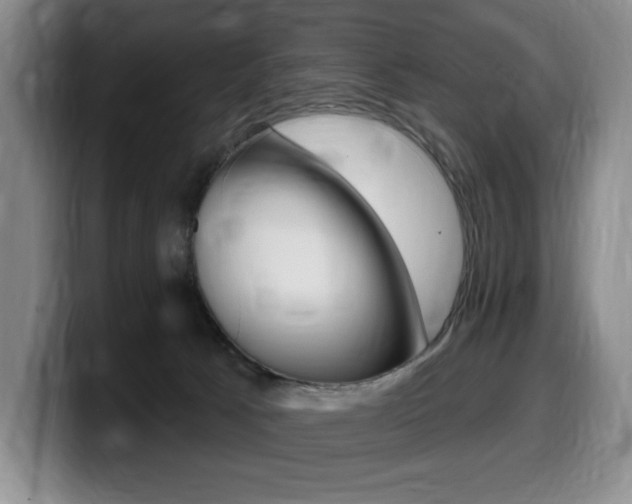 X0000099450033200805090736