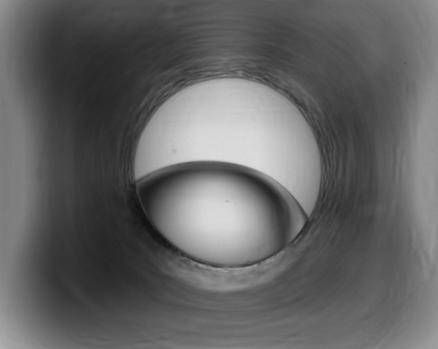 X0000099450035200805090736