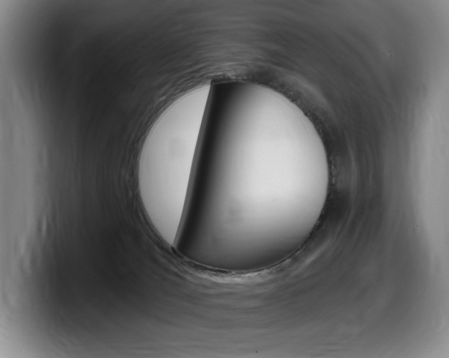 X0000099450036200805090736