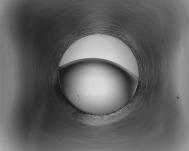 X0000099450037200805090736