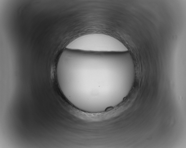 X0000099450038200805090736