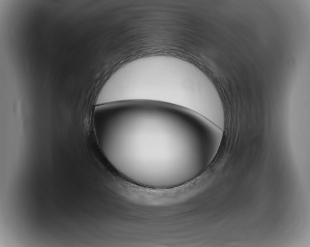 X0000099450039200805090736