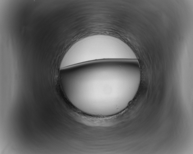 X0000099450040200805090736