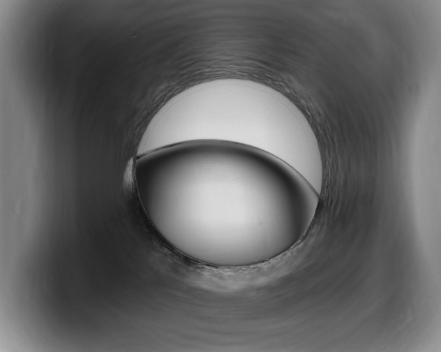 X0000099450041200805090736