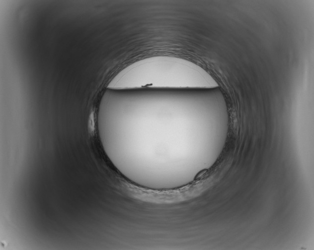 X0000099450042200805090736