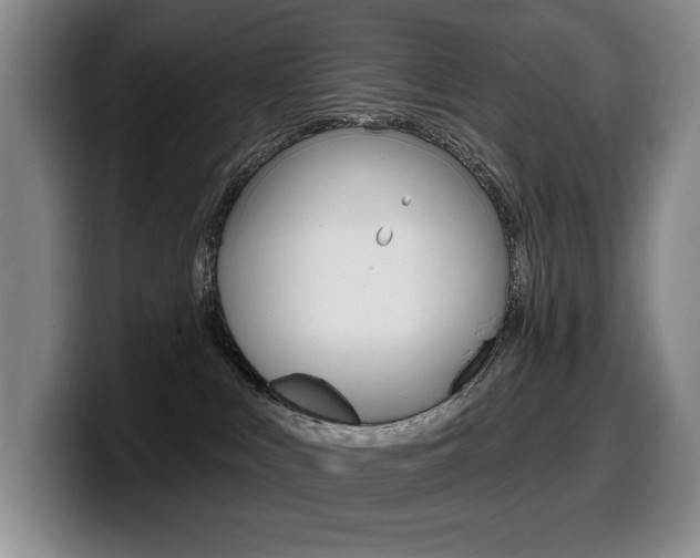 X0000099450043200805090736