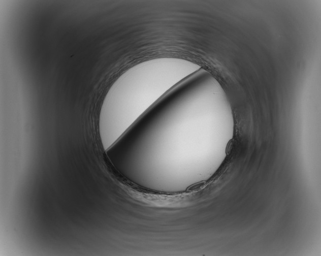 X0000099450044200805090736