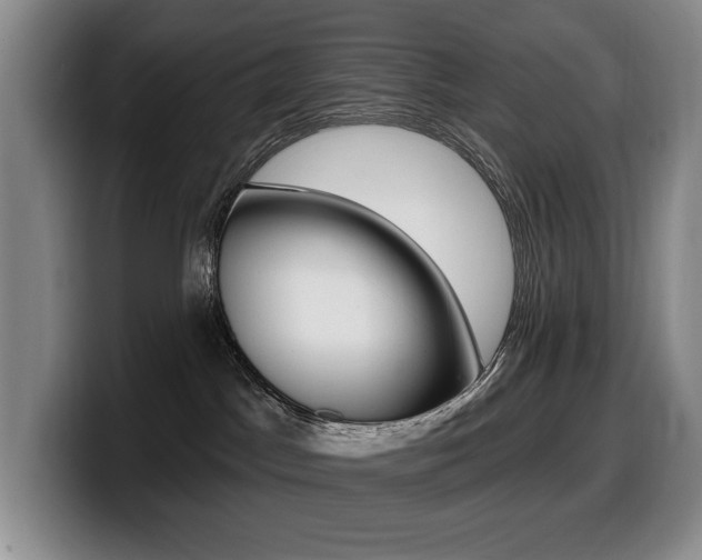 X0000099450045200805090736