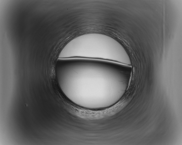 X0000099450048200805090736