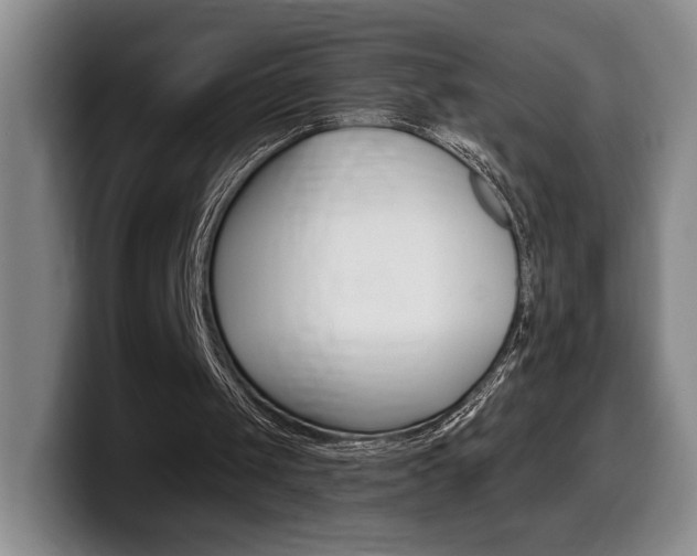 X0000099450049200805090735