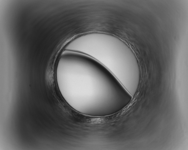 X0000099450050200805090735