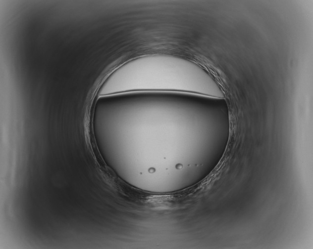 X0000099450051200805090735