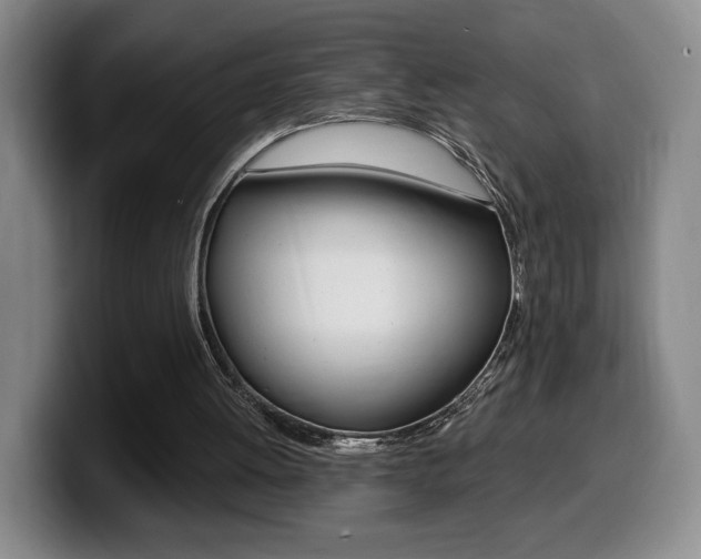 X0000099450052200805090735