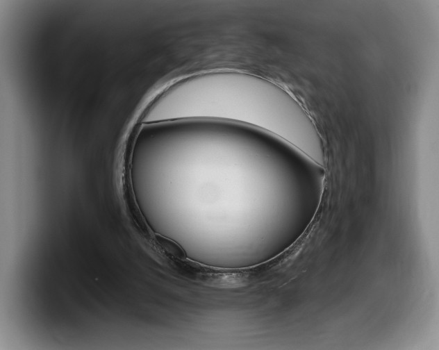 X0000099450056200805090735