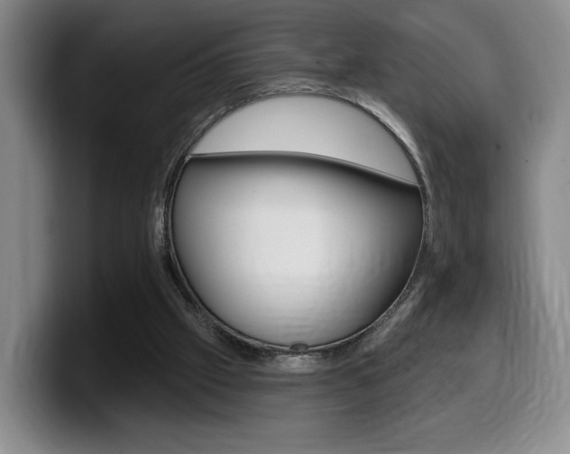 X0000099450057200805090735