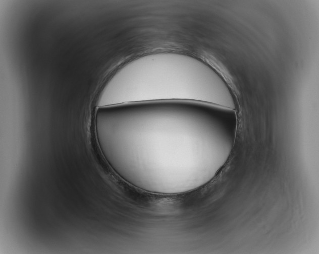 X0000099450058200805090735