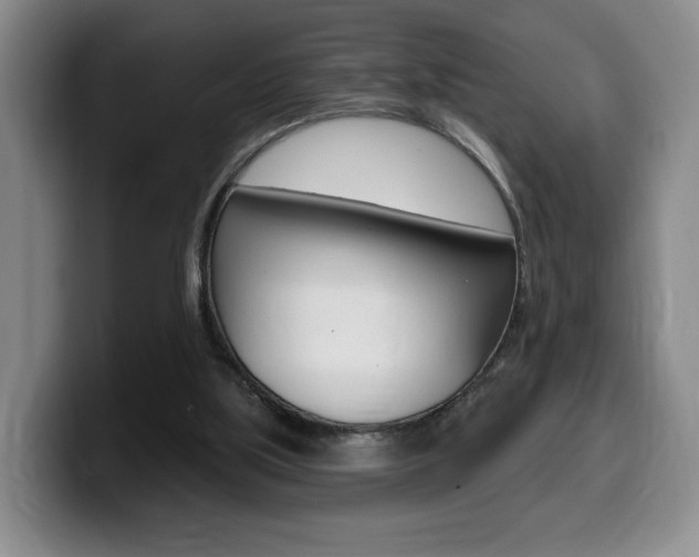 X0000099450059200805090735