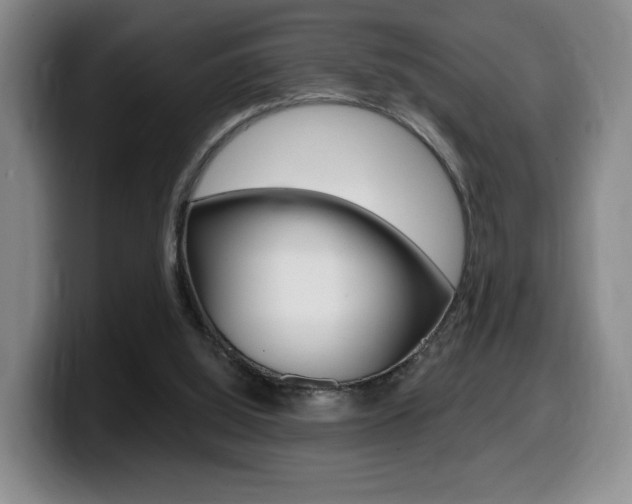 X0000099450060200805090735