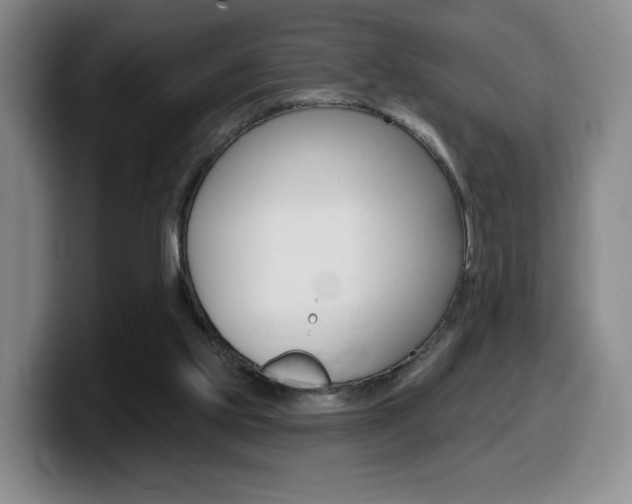 X0000099450061200805090735