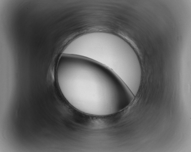X0000099450062200805090735