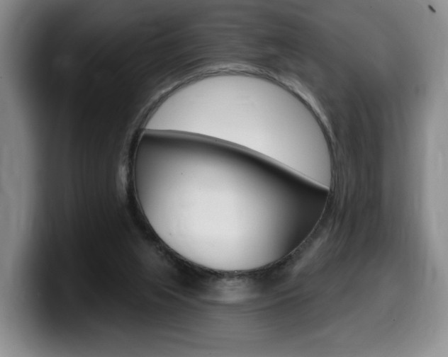 X0000099450063200805090735