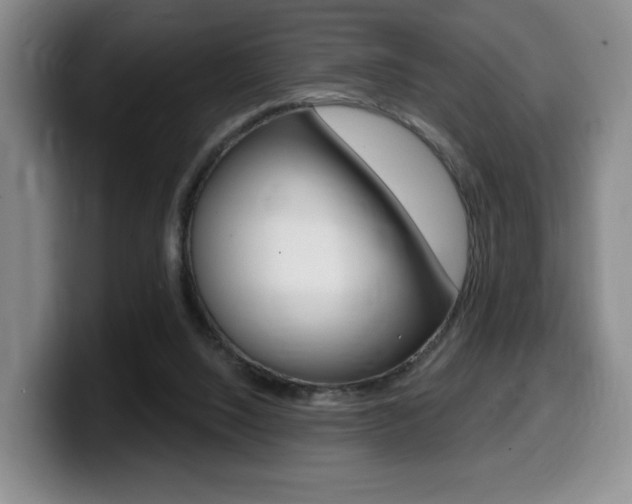 X0000099450064200805090736
