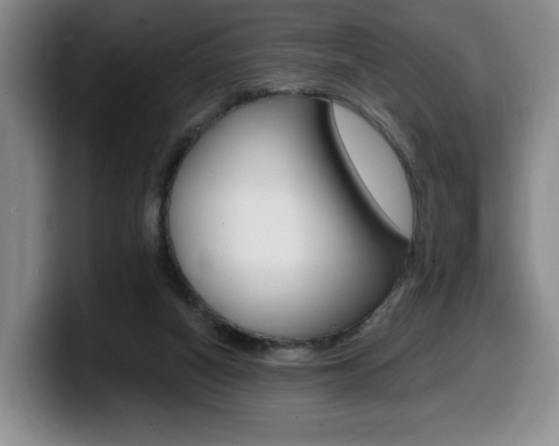 X0000099450066200805090736