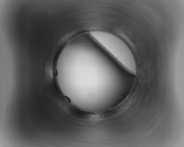 X0000099450068200805090736