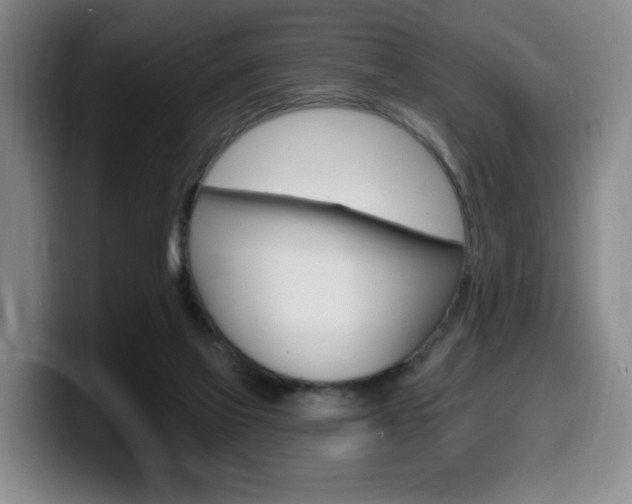 X0000099450069200805090736