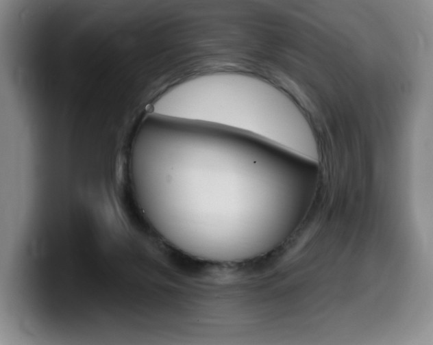 X0000099450071200805090736