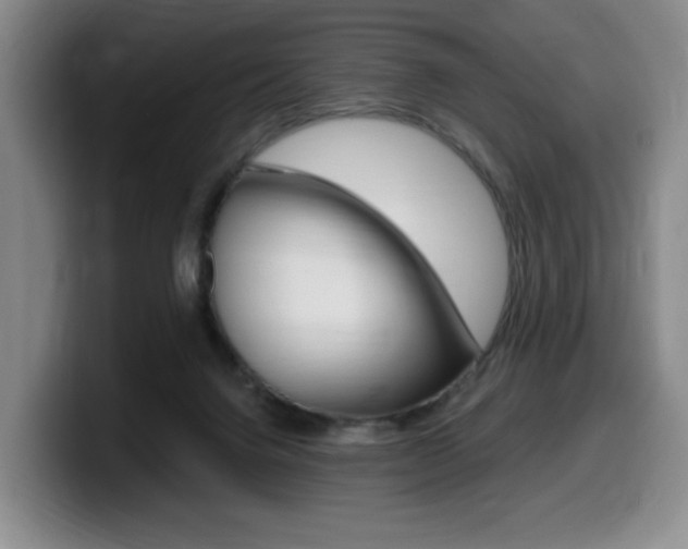 X0000099450072200805090736